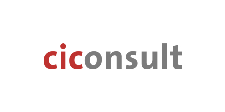 CI Consult